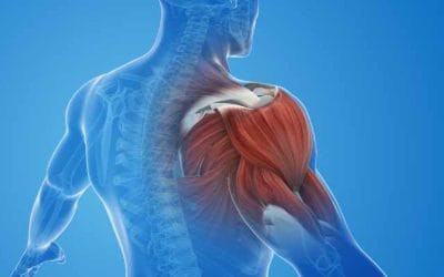 Krioszauna: megoldás a preventív és tüneti kezelésekben